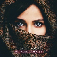 Thumbnail for the DJ Dark - Shiva link, provided by host site