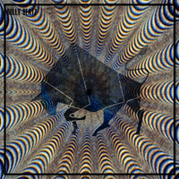 Thumbnail for the Dani Sbert - Shiva link, provided by host site