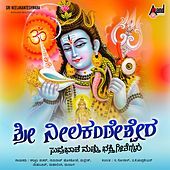 Thumbnail for the Mallesh - Shiva Shiva Enabaarade link, provided by host site