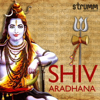 Thumbnail for the Sanjeev Abhyankar - Shivoham link, provided by host site