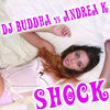 Thumbnail for the DJ Buddha - Shock link, provided by host site