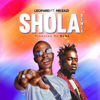 Thumbnail for the Leopard - Shola (Remix) link, provided by host site