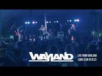 Thumbnail for the Wayland - Shopping For A Savior Live From Kirkland Lions Club link, provided by host site