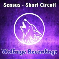 Thumbnail for the Sensus - Short Circuit link, provided by host site