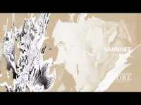 Thumbnail for the Sannhet - Short Life/The Eternal 7" (official visualizer) link, provided by host site