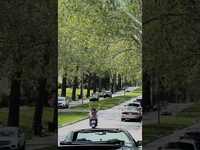 Thumbnail for the Lukas Nelson - Should I show up to all my shows via moped? See you soon, Kansas City! link, provided by host site