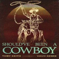 Thumbnail for the Toby Keith - Should've Been A Cowboy (VAVO Remix) link, provided by host site