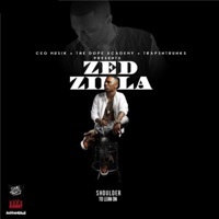 Thumbnail for the Zedzilla - Shoulder To Lean On link, provided by host site