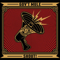 Image of Gov't Mule linking to their artist page due to link from them being at the top of the main table on this page