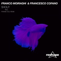 Thumbnail for the Franco Moiraghi - Shout (Frankie Volo Remix) link, provided by host site