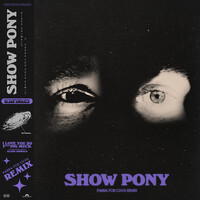 Thumbnail for the Glass Animals - Show Pony (Parra For Cuva Remix) link, provided by host site
