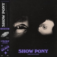 Thumbnail for the Glass Animals - Show Pony (Parra For Cuva Remix) link, provided by host site