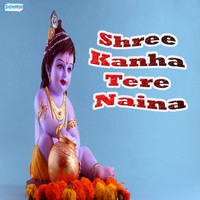 Thumbnail for the Miten - Shree Kanha Tere Naina link, provided by host site