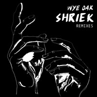 Thumbnail for the Wye Oak - Shriek Remixes link, provided by host site