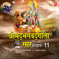 Thumbnail for the Manoj Mishra - Shrimad Bhagwad Geeta Saar - Adhyay 11 - Vishwaroop Darshan Yog link, provided by host site