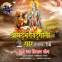 Thumbnail for the Manoj Mishra - Shrimad Bhagwad Geeta Saar - Adhyay 14 - Gun Tray Vibhag Yog link, provided by host site