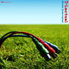 Thumbnail for the T-Lectual - Shrink Interrupted link, provided by host site