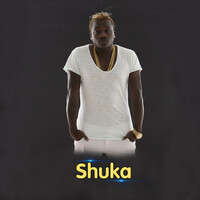 Thumbnail for the Dully Sykes - Shuka link, provided by host site