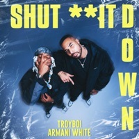 Thumbnail for the TroyBoi - Shut It Down link, provided by host site