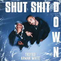 Thumbnail for the TroyBoi - Shut Shit Down link, provided by host site