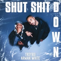 Thumbnail for the TroyBoi - Shut Shit Down link, provided by host site
