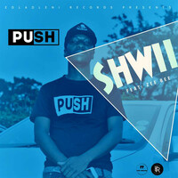 Thumbnail for the Push - Shwii link, provided by host site