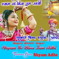 Thumbnail for the Sanjay - Shyam Ke Bina Tum Adhi Tumhare Bina Shyam Adhe link, provided by host site