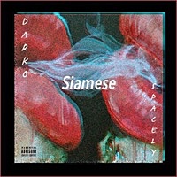 Thumbnail for the DarkoVibes - Siamese link, provided by host site