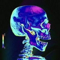 Thumbnail for the Allegory - Siborg link, provided by host site