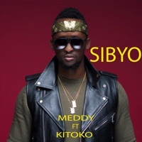 Thumbnail for the Meddy - Sibyo link, provided by host site