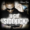 Thumbnail for the J. Gib - Sidekick link, provided by host site