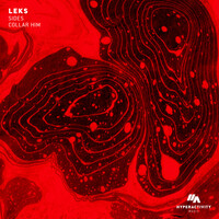 Thumbnail for the Leks - Sides / Collar Him link, provided by host site