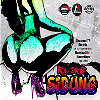 Thumbnail for the Razor B - Sidung link, provided by host site