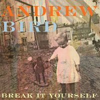 Thumbnail for the Andrew Bird - Sifters link, provided by host site