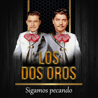 Thumbnail for the Los Dos Oros - Sigamos Pecando link, provided by host site