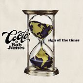 Thumbnail for the CeeLo Green - Sign Of The Times link, provided by host site