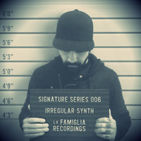 Thumbnail for the Irregular Synth - Signature Series - Irregular Synth link, provided by host site