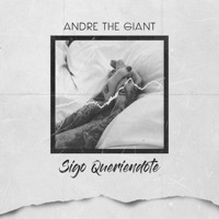 Thumbnail for the Andre TG - Sigo Queriendote link, provided by host site