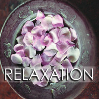Image of Axiom linking to their artist page due to link from them being at the top of the main table on this page