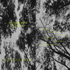 Thumbnail for the Matthew Bomb - Silence link, provided by host site