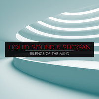 Thumbnail for the Liquid Sound - Silence Of The Mind link, provided by host site
