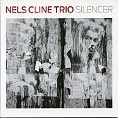 Thumbnail for the Nels Cline - Silencer link, provided by host site