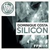 Thumbnail for the Dominique Costa - Silicon link, provided by host site