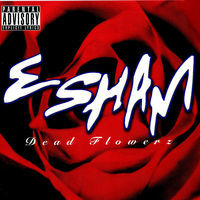 Thumbnail for the Esham - Silicone link, provided by host site