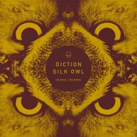 Thumbnail for the Diction - Silk Owl link, provided by host site
