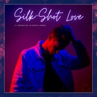 Thumbnail for the Lyte - Silk-Shot Love link, provided by host site