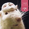 Thumbnail for the Tam - Silk / Sweat link, provided by host site