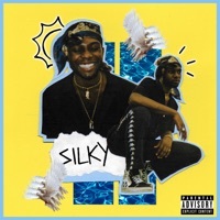 Thumbnail for the Silky - Silky link, provided by host site