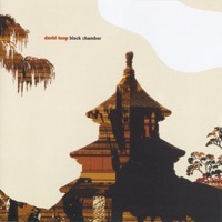 Thumbnail for the David Toop - Silver Birds link, provided by host site