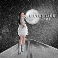 Thumbnail for the LAUD - Silver Line link, provided by host site